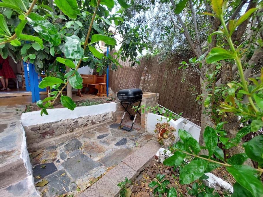 阿格特Casa Mimosa With Private Pool & Garden别墅 外观 照片