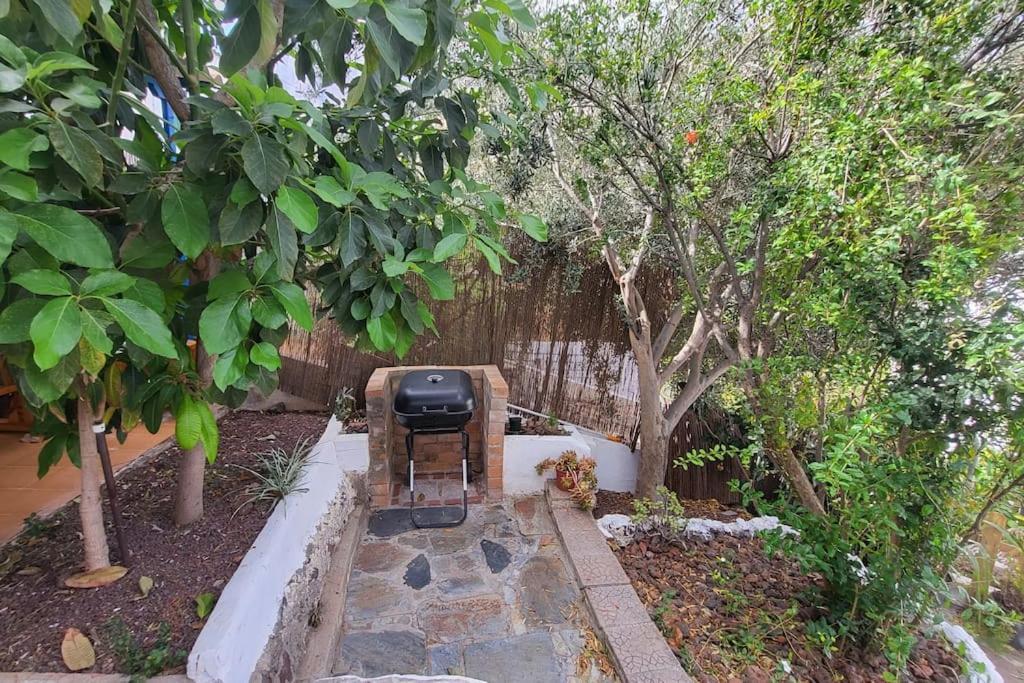 阿格特Casa Mimosa With Private Pool & Garden别墅 外观 照片